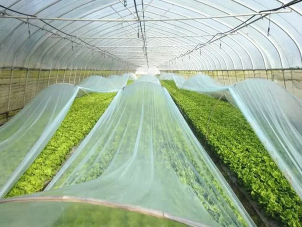Future of Sustainable Nonwoven Fabric Manufacturing